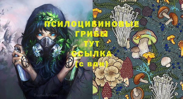 метадон Армянск